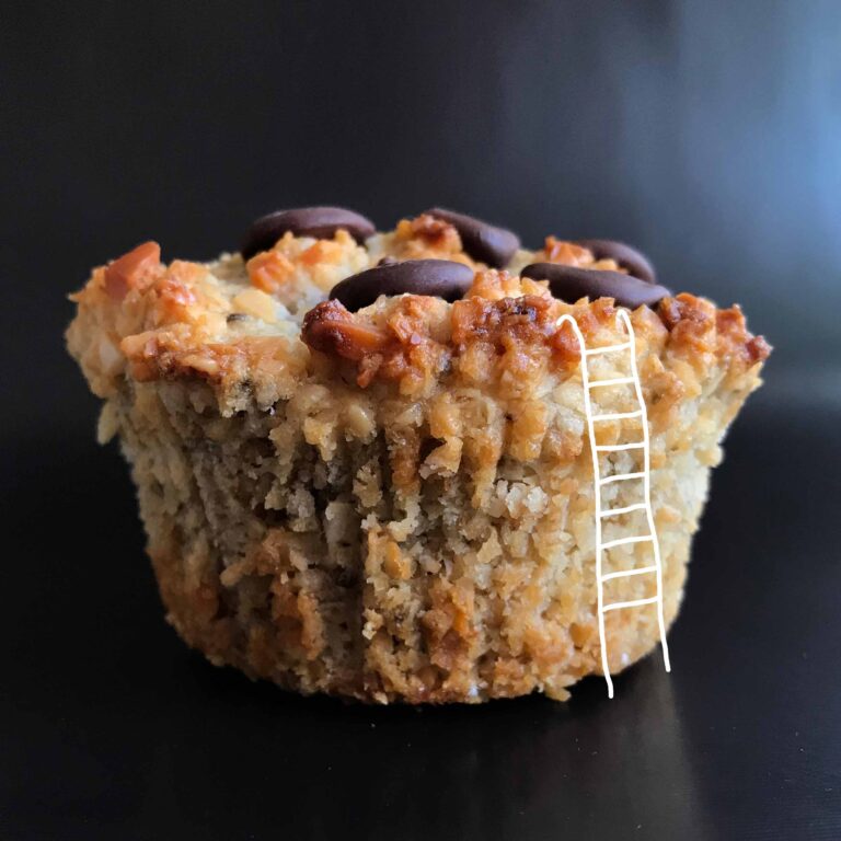 INSTA_MUFFINY_COKO_tmavy